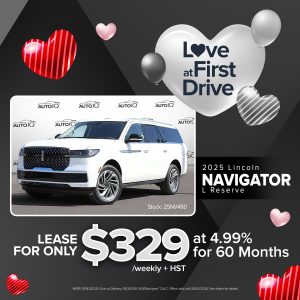 love at first drive navigator r1200 1200